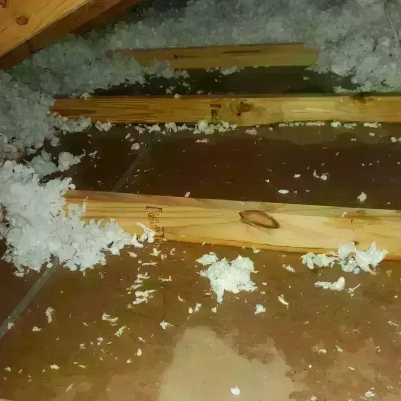 Attic Water Damage in Pleasant Valley, NY